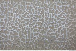 Photo of Various Textures